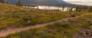 frisco penninsula trail hero